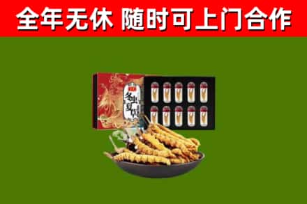 德阳回收冬虫夏草价格